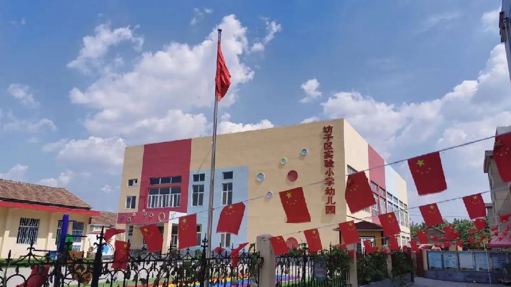 坊子实验幼儿园购买多功能食品安全检测仪
