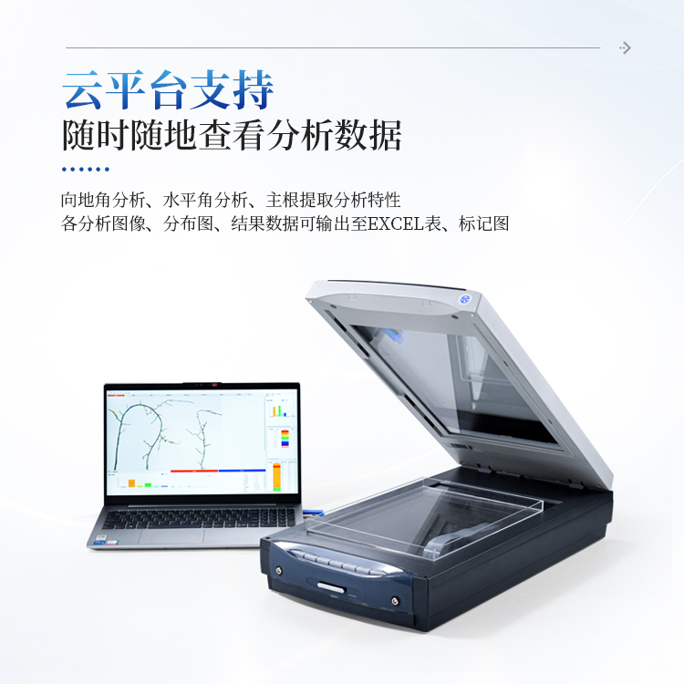 根系分析仪