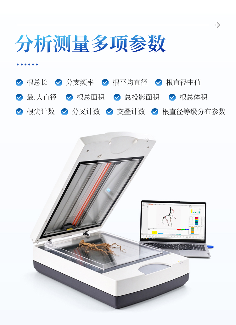 植物根系图像分析仪