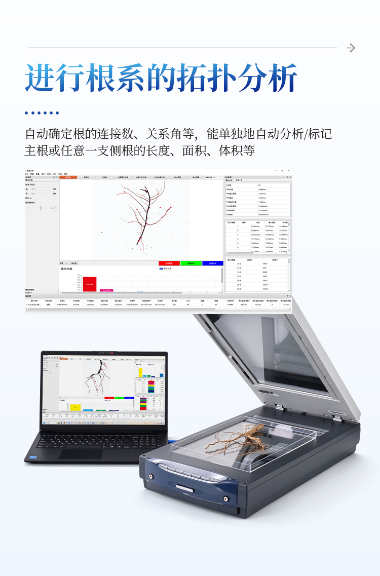 植物根系图像分析仪